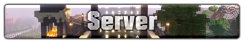 Server