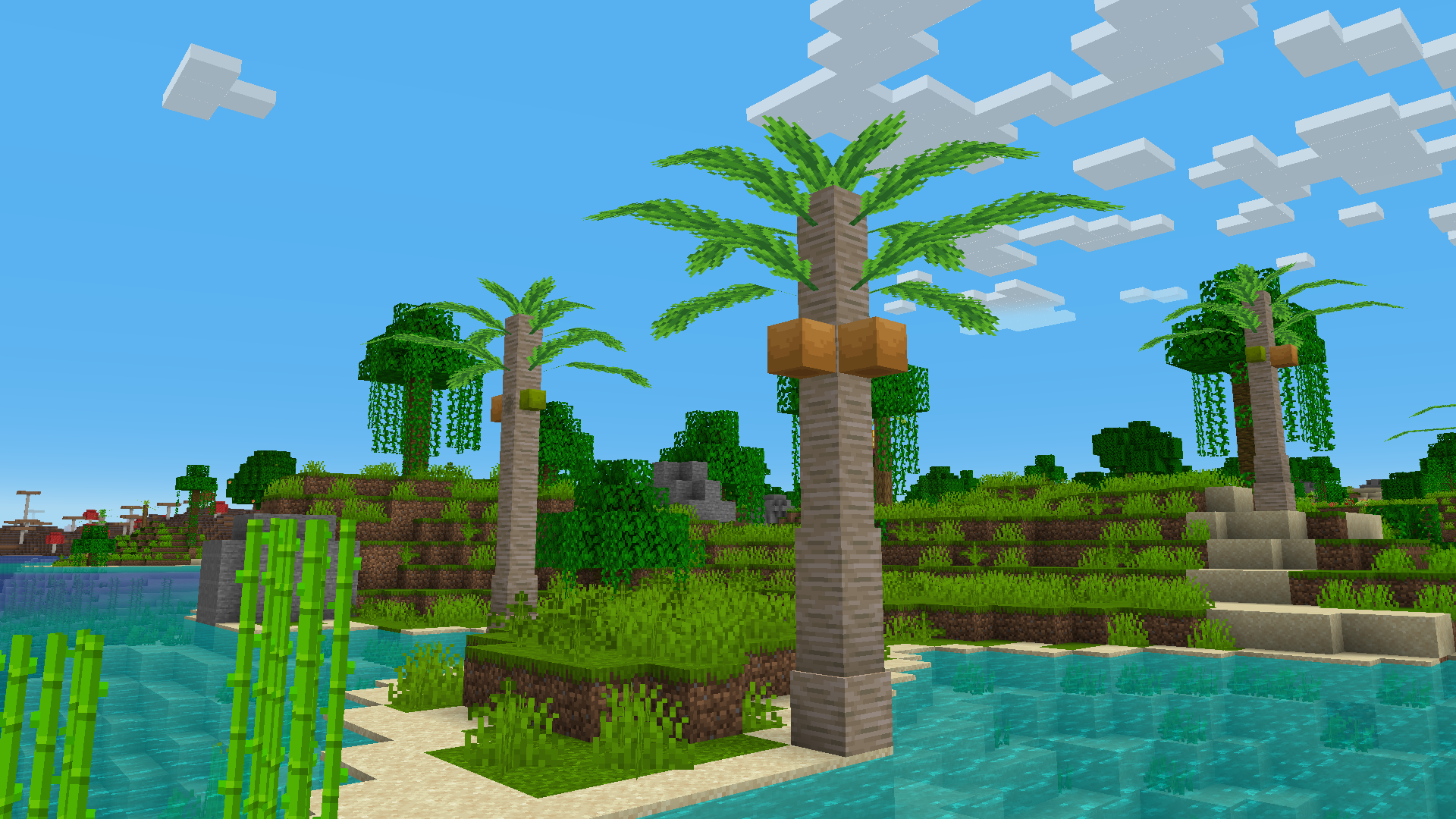 Coconut Tree at beaches