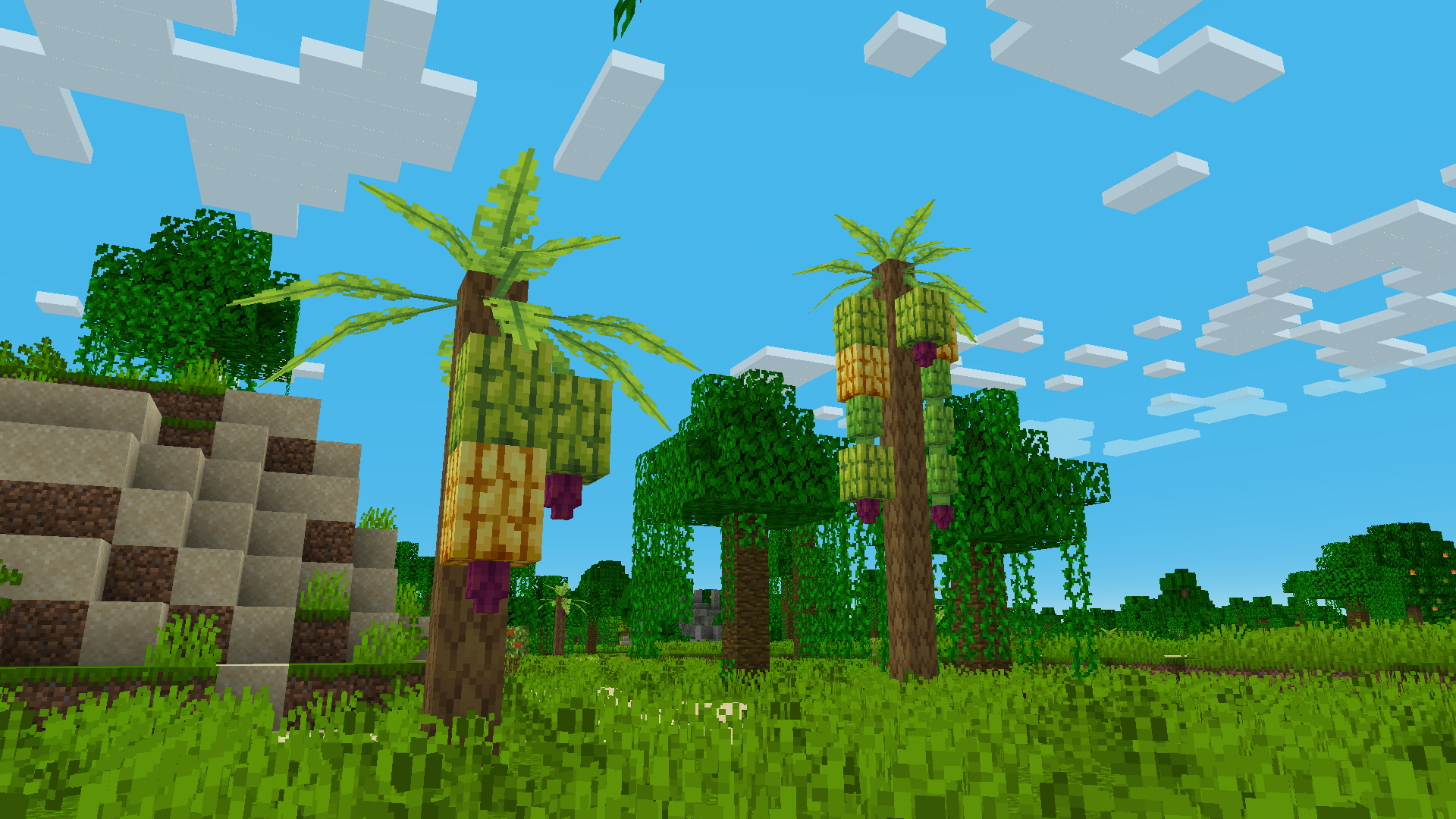Banana Trees