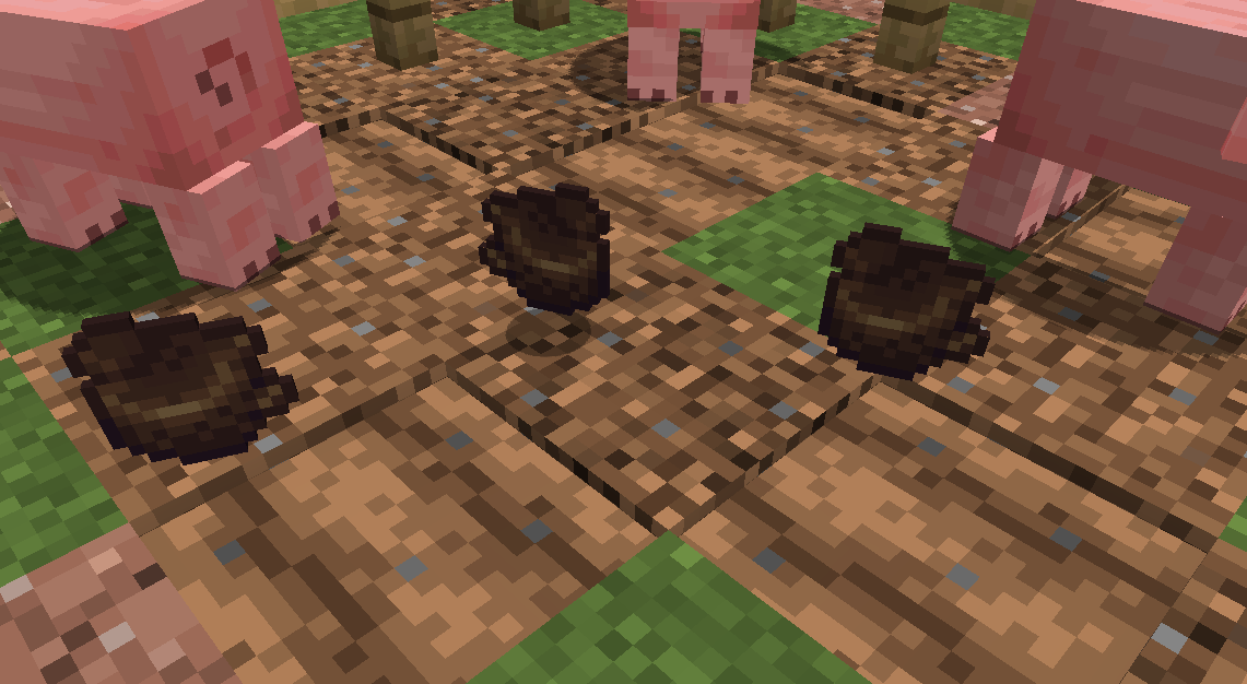 Pigs dig up truffles
