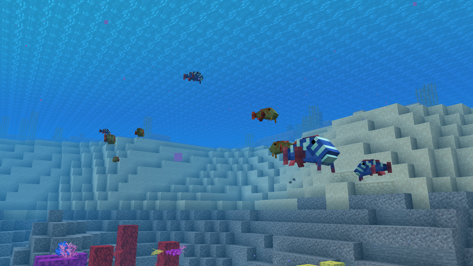 Wildsplashes around the coral reef