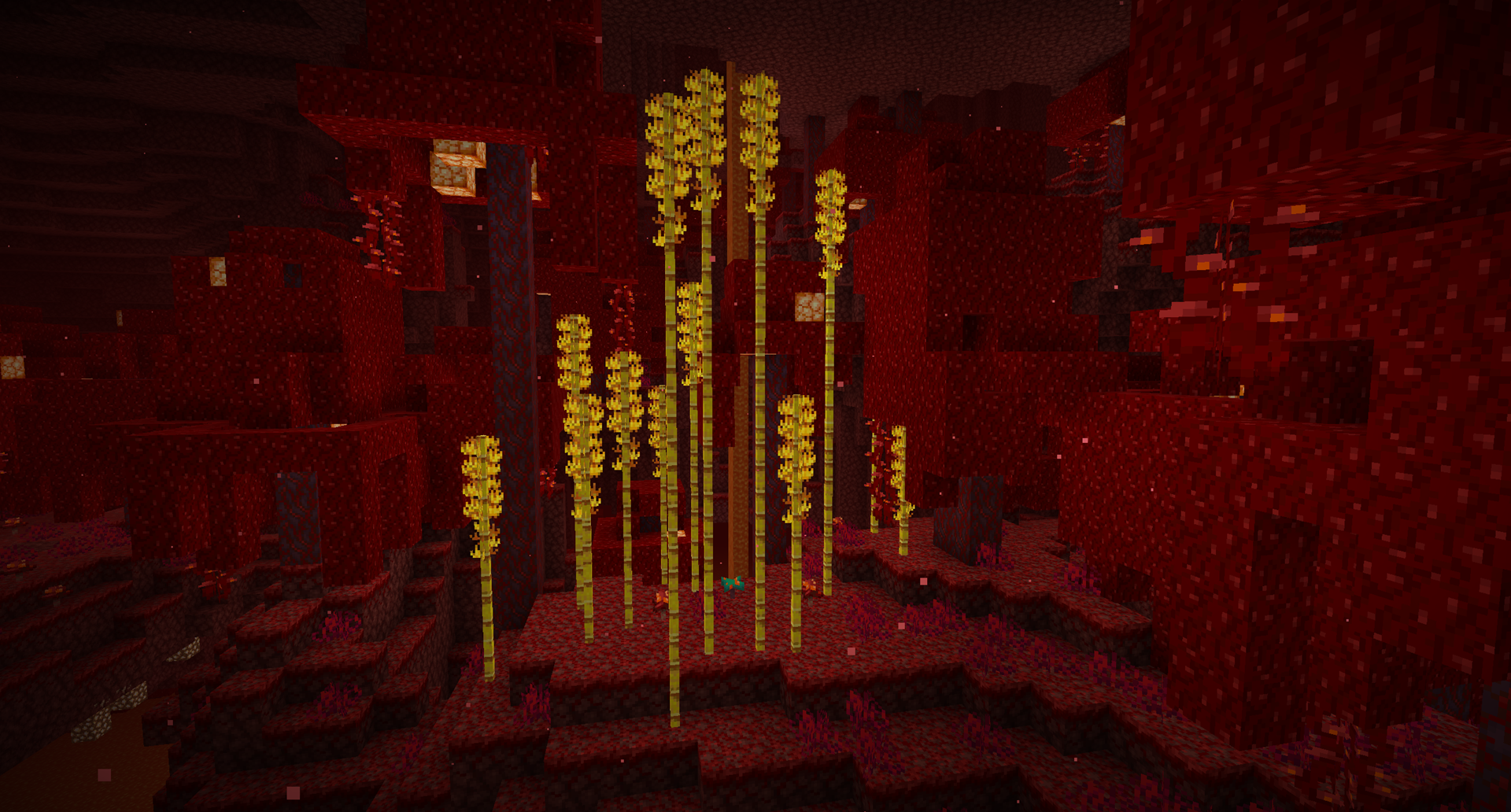 A naturally generated patch of blazing bamboo