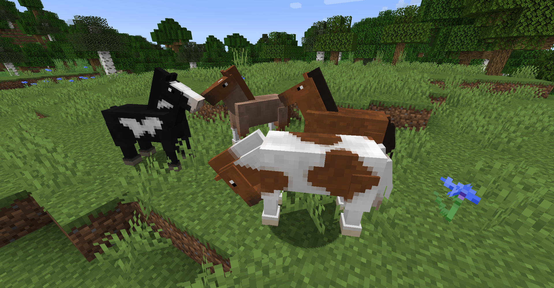 Realistic Horse Genetics