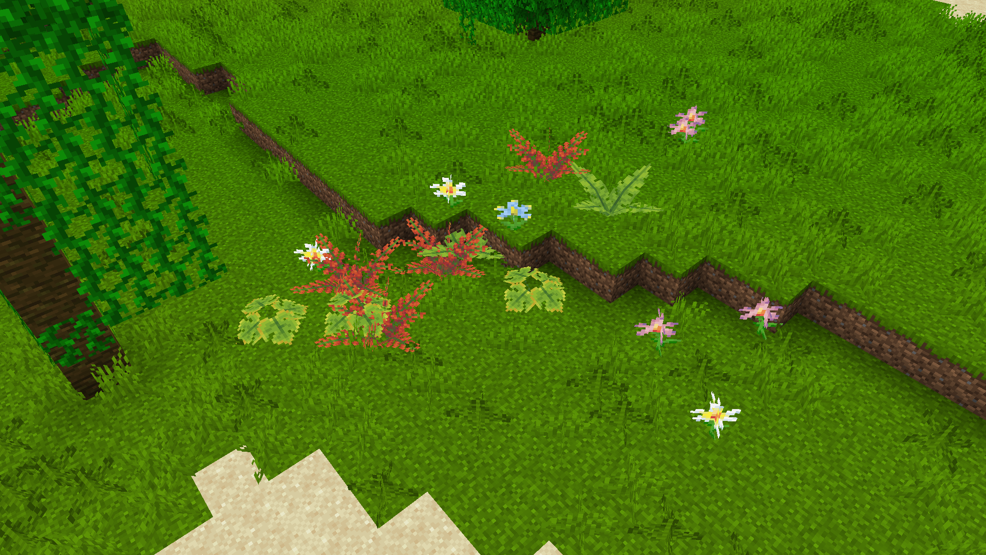 New Plantlife