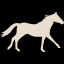 Canter Icon