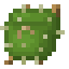 Cactuspack
