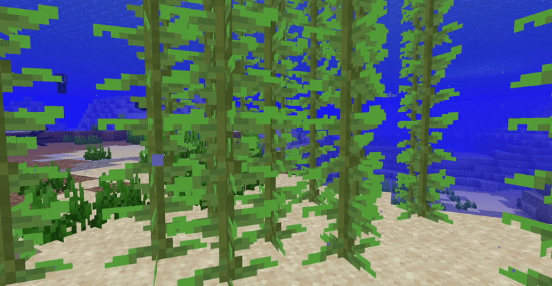Kelp