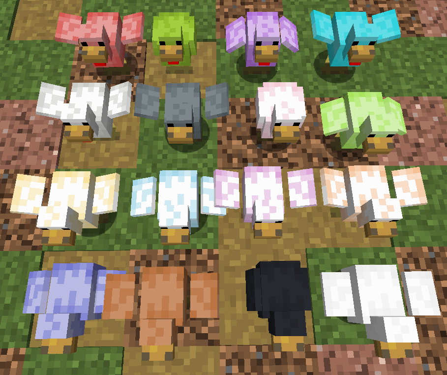 Look at all those chickens