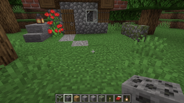 Placement Animation Example