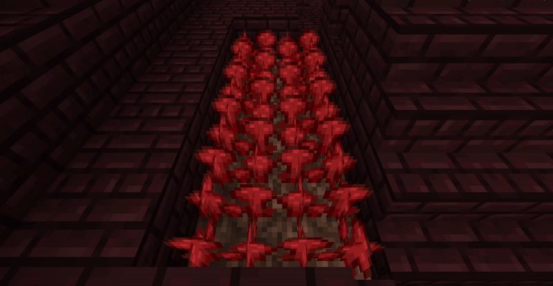 Nether Wart
