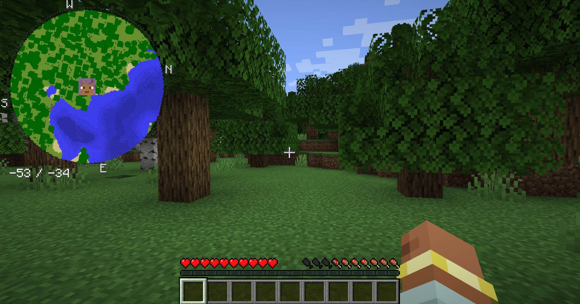 Minimap HUD Screenshot