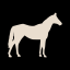 Walk Icon