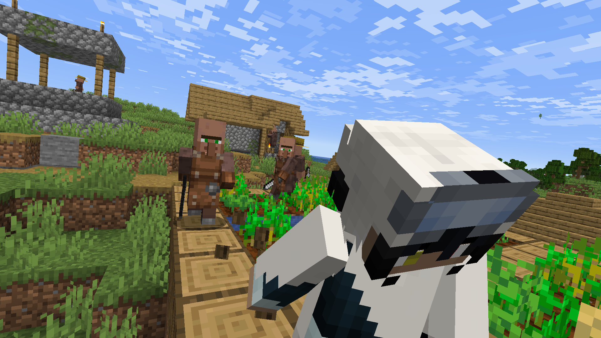 Villagers chasing a player