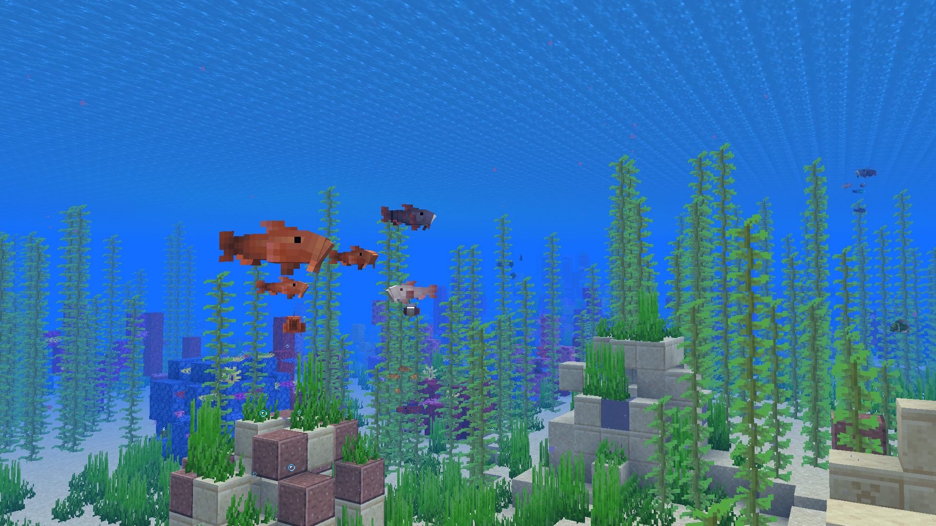 Ancientscales around the ocean ruins