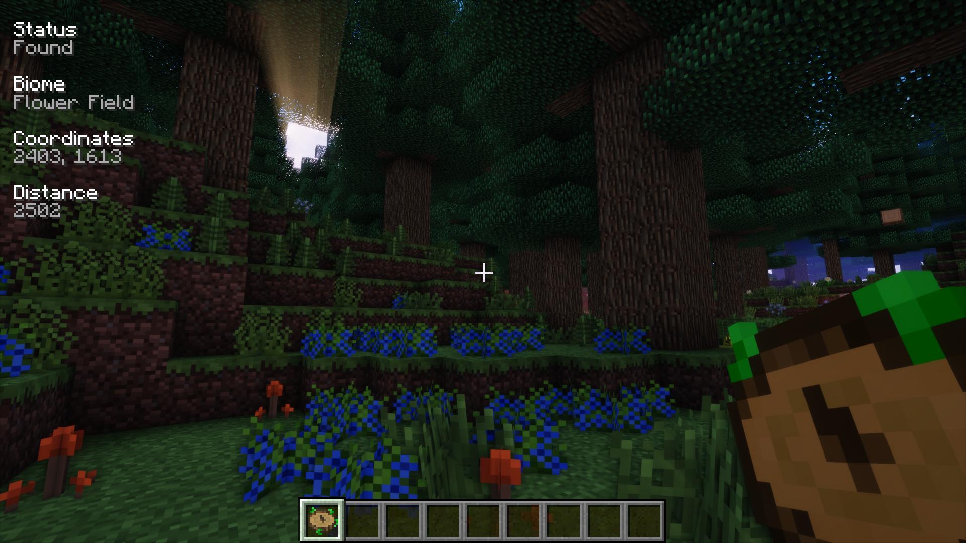 Information about a found biome is displayed on the HUD