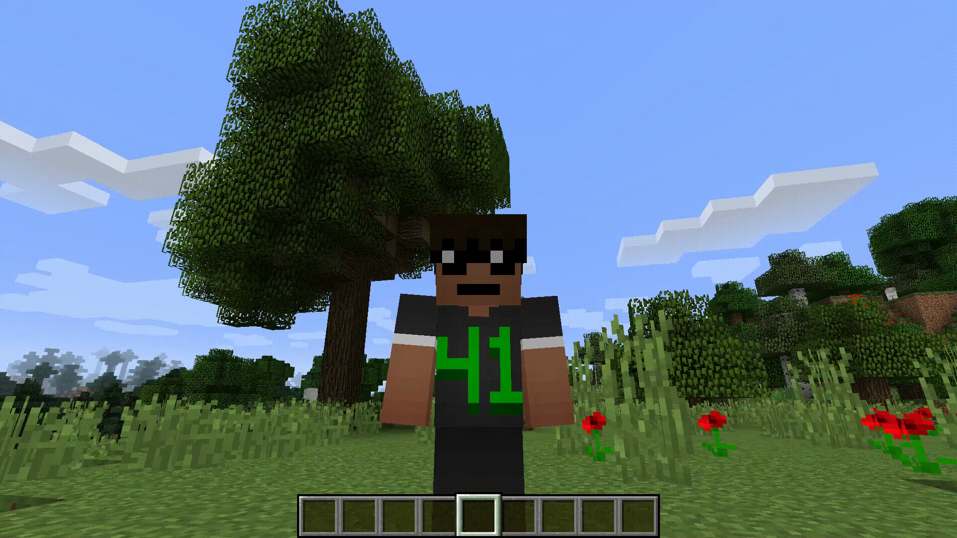 Reskin in Use