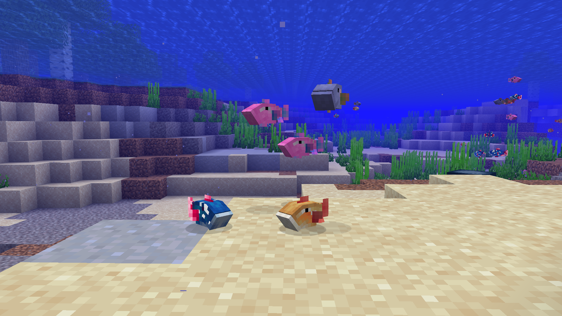 Pondies in the river