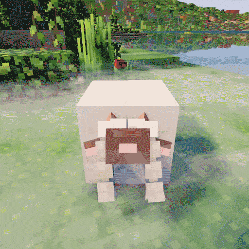 Pet the Wooloo!