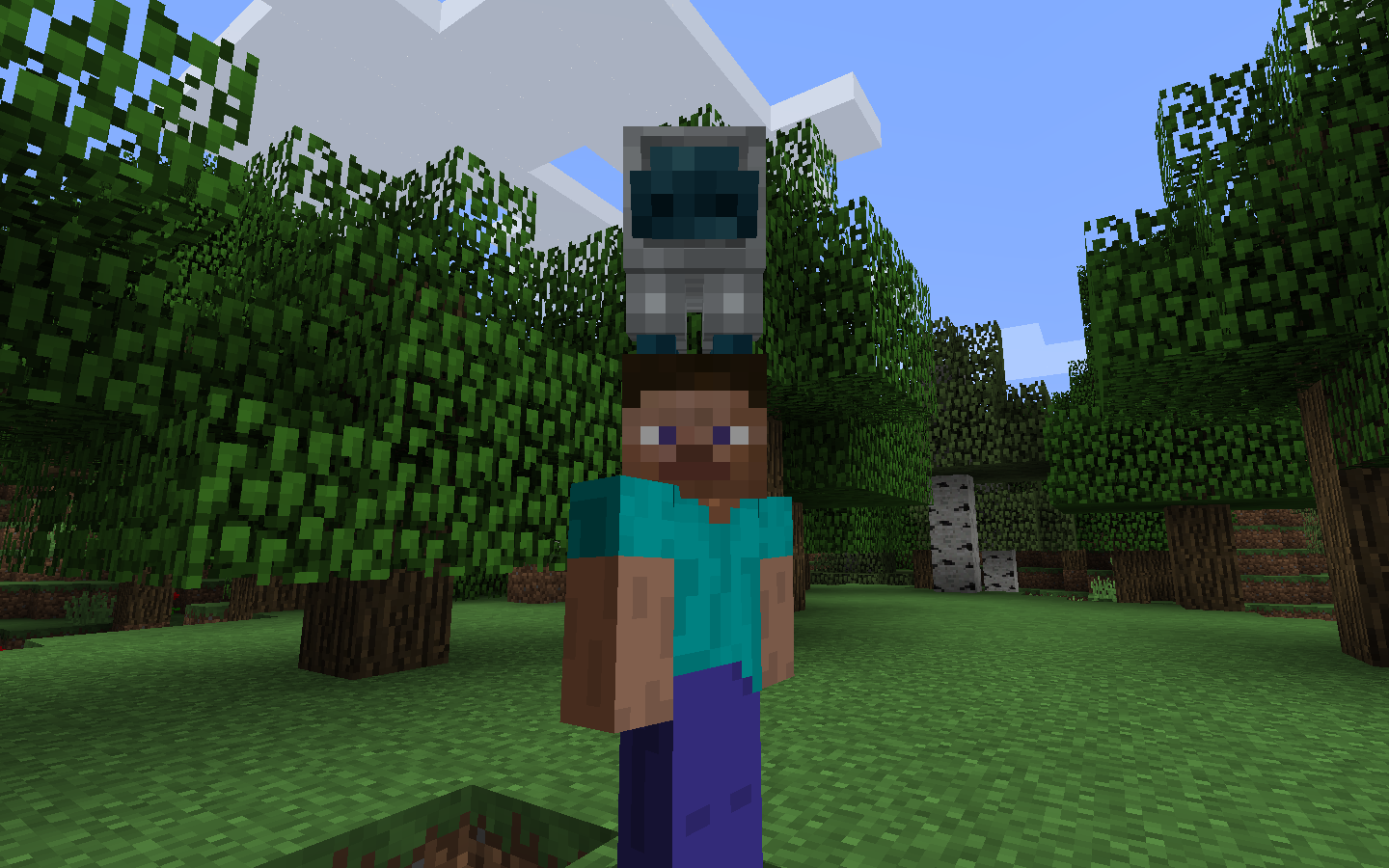 Hat on head