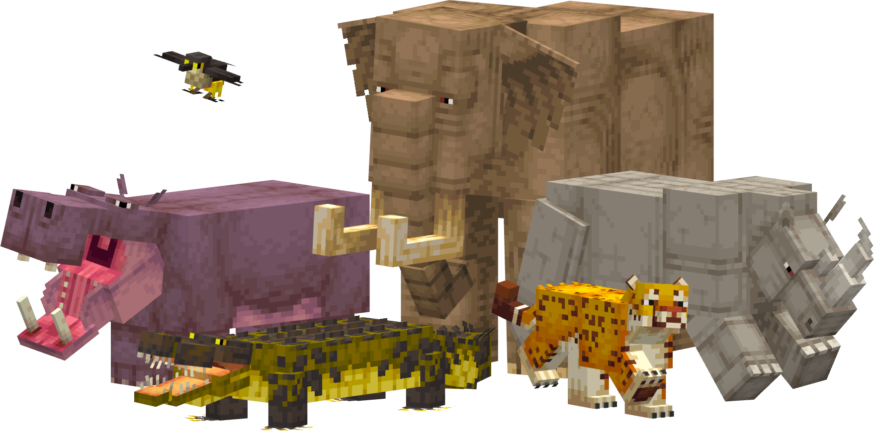 Animals