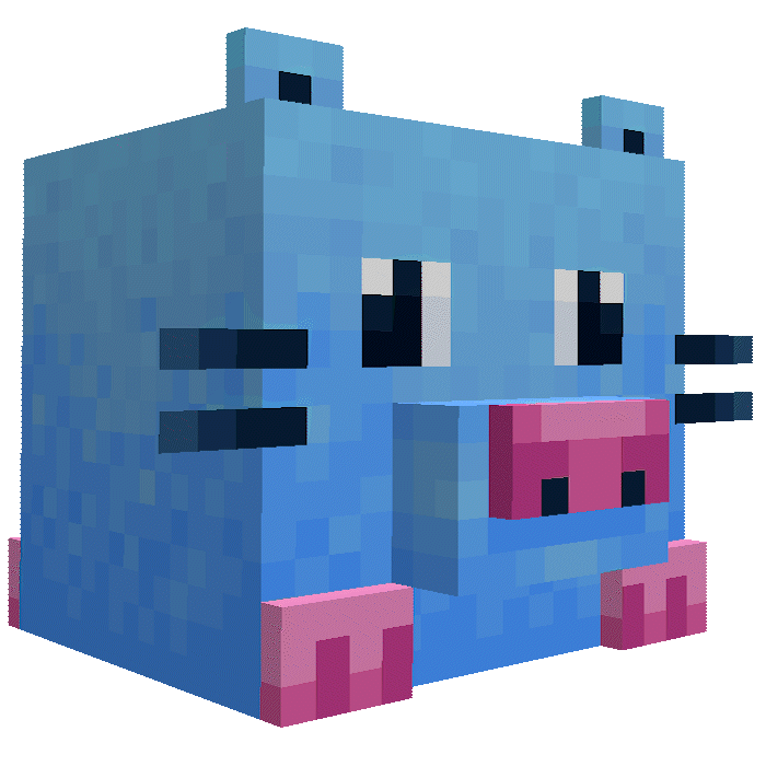 Rat
