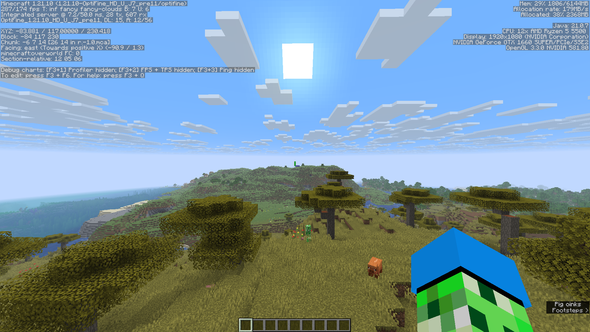 OptiFine, No Resource Packs, Fullscreen - 32 Chunk, Fancy, OF Performance Settings ON