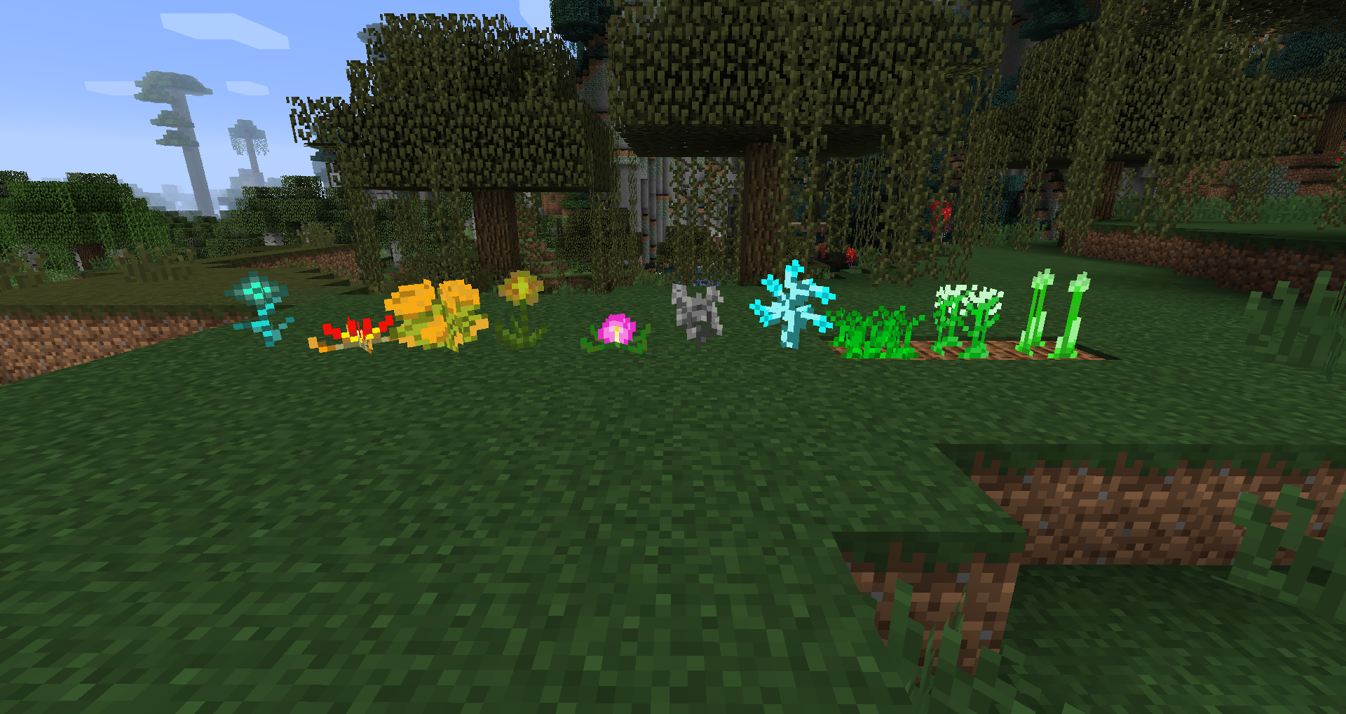 herbs