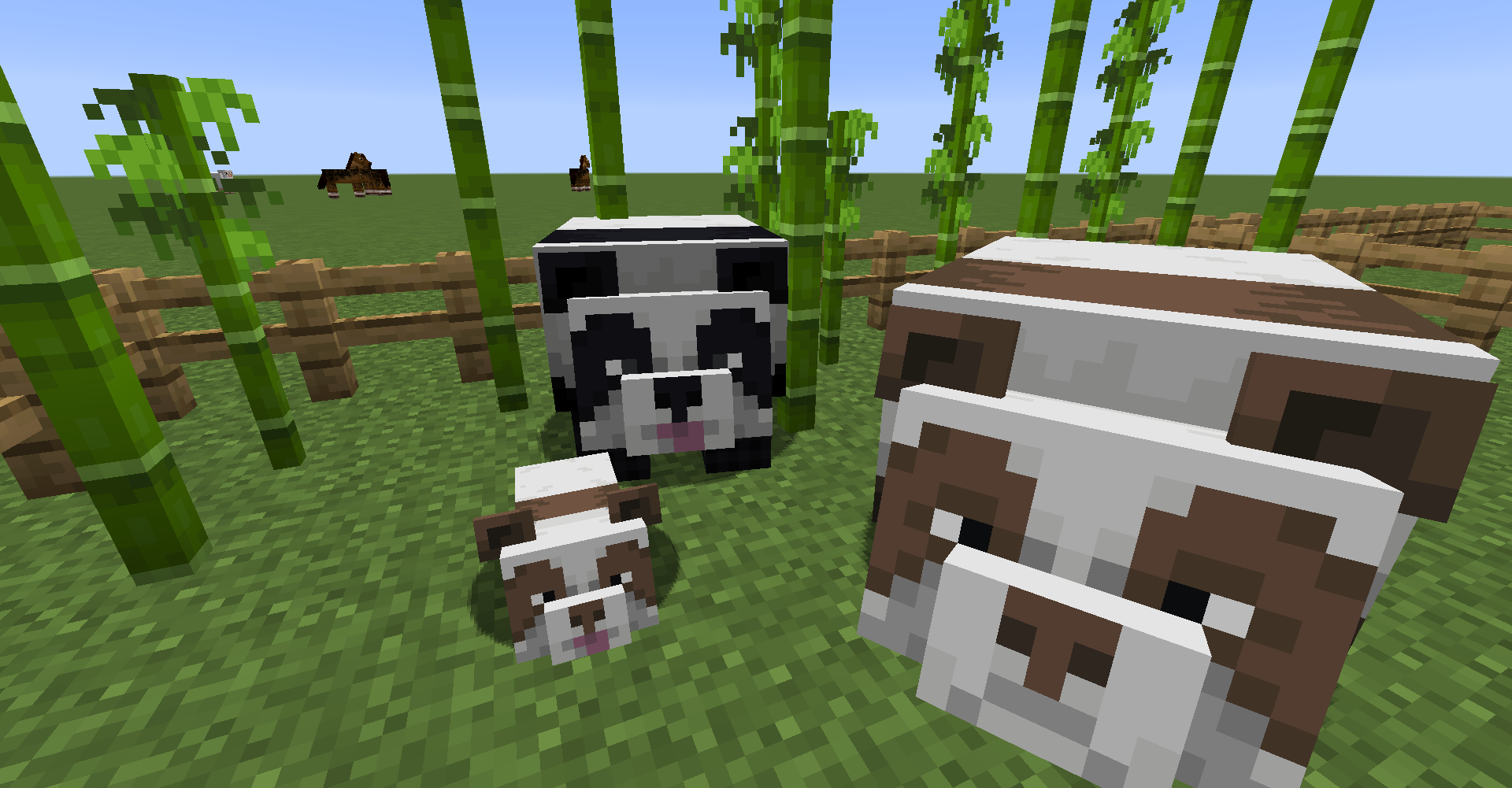 Breeding a playful brown panda
