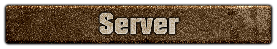 Server