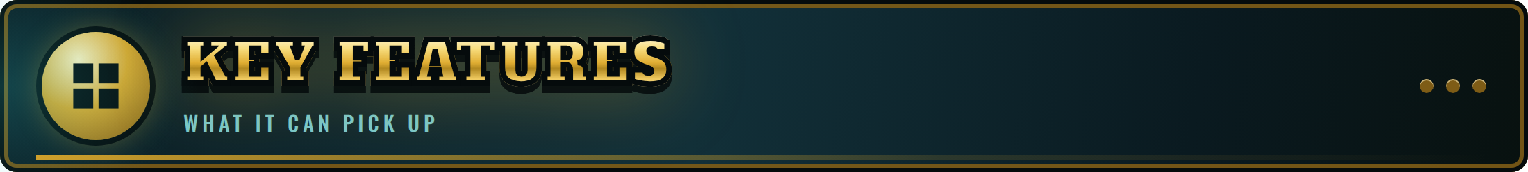 Key Features