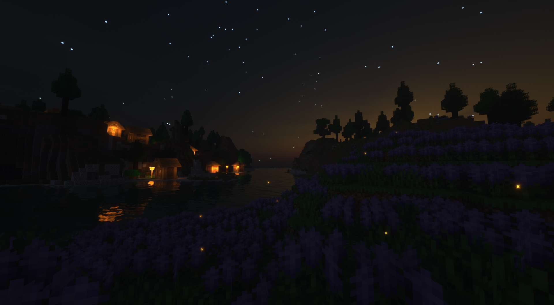 SVF at Night