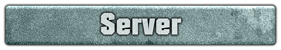 Server