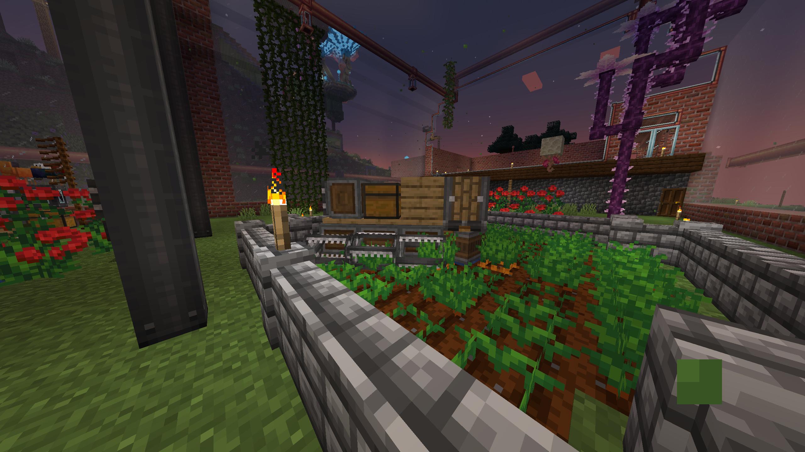 carrots