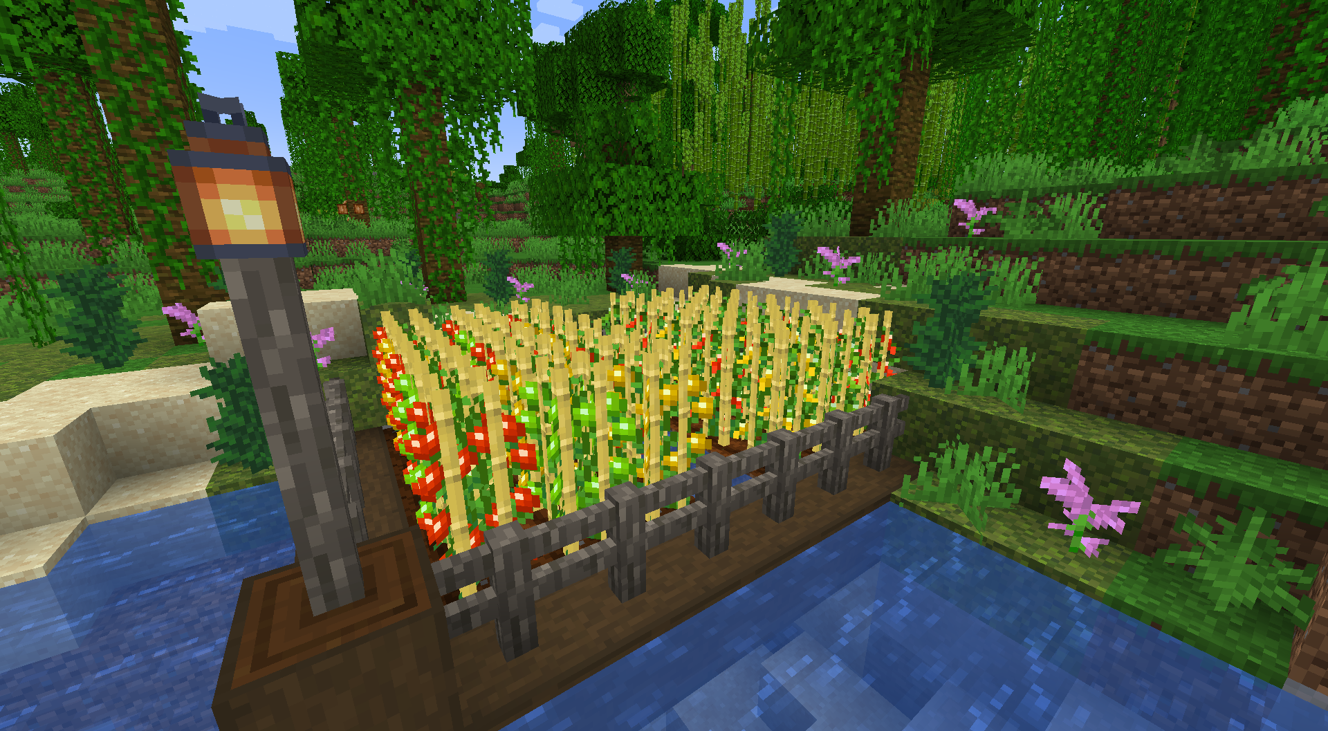 Picture of Crops