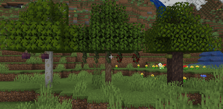 plants